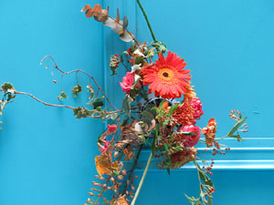 Temps de Flors 2016. El Casino de Girona al carrer Albereda