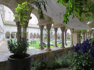 Temps de Flors 2016. Decoraci&oacute; floral del claustre de la Catedral