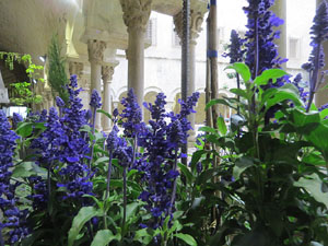 Temps de Flors 2016. Decoraci&oacute; floral del claustre de la Catedral