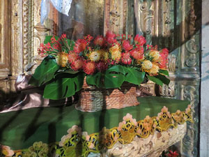 Temps de Flors 2016. Decoraci&oacute; floral del claustre de la Catedral