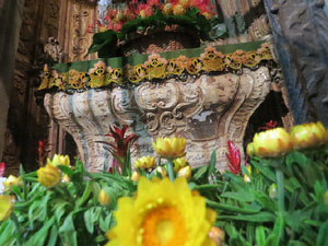 Temps de Flors 2016. Decoraci&oacute; floral del claustre de la Catedral
