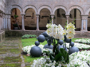 Temps de Flors 2016. Decoraci&oacute; floral del claustre de la Catedral