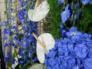 Temps de Flors 2016. Decoraci&oacute; floral del claustre de la Catedral