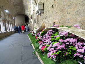 Temps de Flors 2016. Decoraci&oacute; floral del claustre de la Catedral