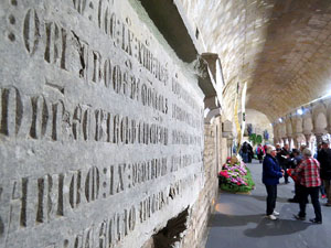 Temps de Flors 2016. Decoraci&oacute; floral del claustre de la Catedral
