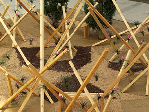 Temps de Flors 2016. Escales est i nord de l'església de Sant Feliu