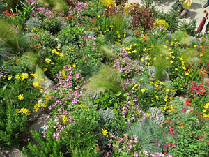 Temps de Flors 2016. Escales est i nord de l'església de Sant Feliu