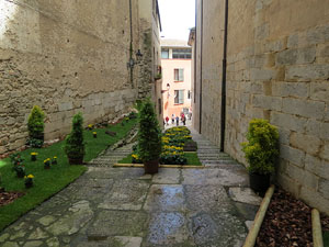 Temps de Flors 2016. Escales est i nord de l'església de Sant Feliu