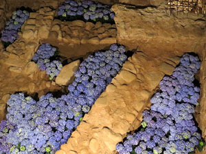 Temps de Flors 2016. Antic Hospital dels Capellans