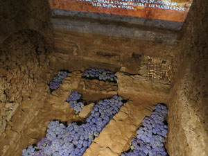 Temps de Flors 2016. Antic Hospital dels Capellans