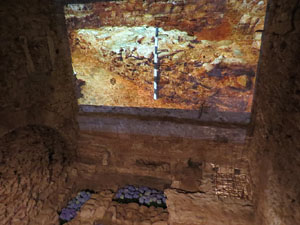 Temps de Flors 2016. Antic Hospital dels Capellans