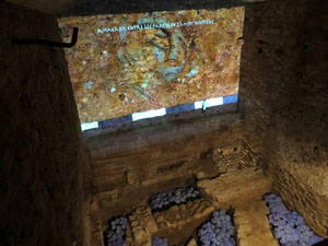 Temps de Flors 2016. Antic Hospital dels Capellans