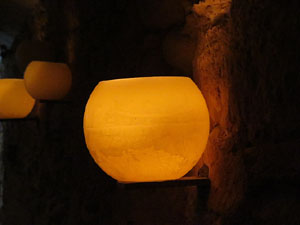 Temps de Flors 2016. Antic Hospital dels Capellans