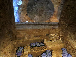 Temps de Flors 2016. Antic Hospital dels Capellans