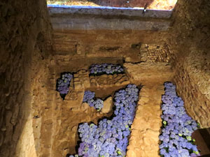 Temps de Flors 2016. Antic Hospital dels Capellans