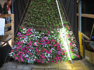 Temps de Flors 2016. Antic Hospital dels Capellans