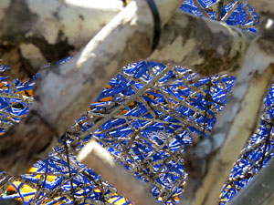 Temps de Flors 2016. Laberint al Jard&iacute; de la Inf&agrave;ncia