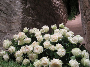 Temps de Flors 2016. Muntatges i instal&middot;lacions a Les Sarra&iuml;nes