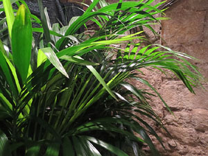 Temps de Flors 2016. Muntatges i instal&middot;lacions a Les Sarra&iuml;nes