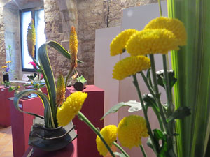 Temps de Flors 2016. Muntatges i instal&middot;lacions a Les Sarra&iuml;nes