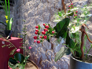 Temps de Flors 2016. Muntatges i instal&middot;lacions a Les Sarra&iuml;nes