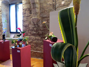 Temps de Flors 2016. Muntatges i instal&middot;lacions a Les Sarra&iuml;nes