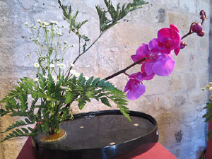 Temps de Flors 2016. Muntatges i instal&middot;lacions a Les Sarra&iuml;nes