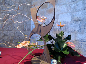 Temps de Flors 2016. Muntatges i instal&middot;lacions a Les Sarra&iuml;nes