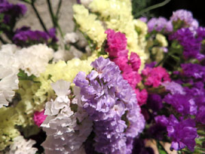 Temps de Flors 2016. Muntatges i instal&middot;lacions a Les Sarra&iuml;nes