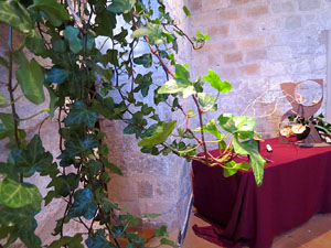 Temps de Flors 2016. Muntatges i instal&middot;lacions a Les Sarra&iuml;nes