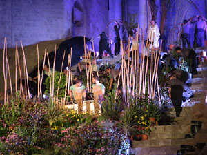 Temps de Flors 2016. Espectacle Lymbus, a c&agrave;rrec de Comediants, a les escales de Sant Feliu