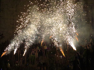 Temps de Flors 2016. Espectacle Lymbus, a c&agrave;rrec de Comediants, a les escales de Sant Feliu