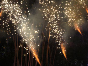 Temps de Flors 2016. Espectacle Lymbus, a c&agrave;rrec de Comediants, a les escales de Sant Feliu