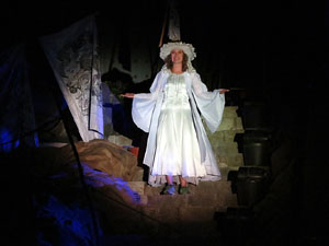 Temps de Flors 2016. Espectacle Lymbus, a c&agrave;rrec de Comediants, a les escales de Sant Feliu