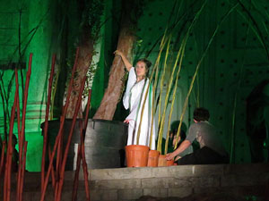 Temps de Flors 2016. Espectacle Lymbus, a c&agrave;rrec de Comediants, a les escales de Sant Feliu