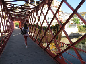 Temps de Flors 2016. Making of de l'esdeveniment