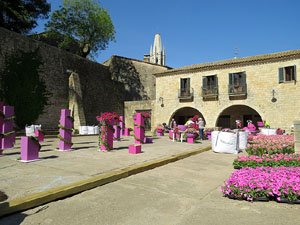 Temps de Flors 2016. Making of de l'esdeveniment