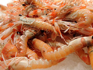 Temps de Flors 2016. Nit de Flors i Sabors al Mercat del Lleó