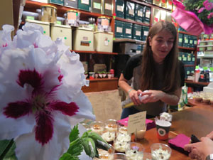 Temps de Flors 2016. Nit de Flors i Sabors al Mercat del Lleó