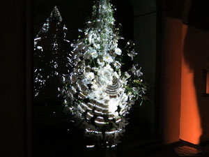 Temps de Flors 2016. Antic Cinema Modern