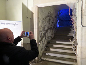 Temps de Flors 2016. Antic Cinema Modern