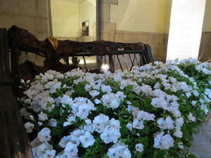 Temps de Flors 2016. Antic Cinema Modern