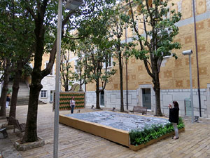 Temps de Flors 2016. El Pati de les Magn&ograve;lies