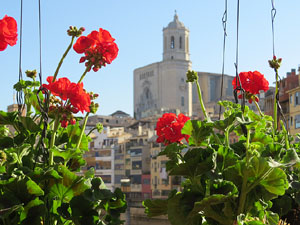 Temps de Flors 2016. Els ponts de l'Onyar