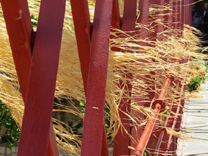 Temps de Flors 2016. Els ponts de l'Onyar
