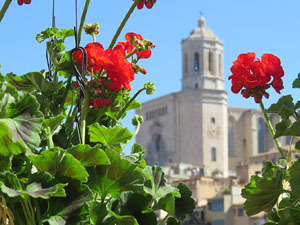 Temps de Flors 2016. Els ponts de l'Onyar