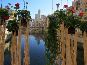 Temps de Flors 2016. Els ponts de l'Onyar