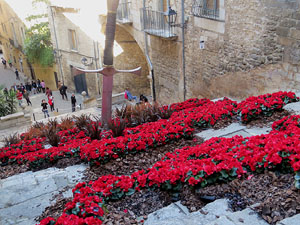 Temps de Flors 2016. Escales de la pujada de Sant Martí