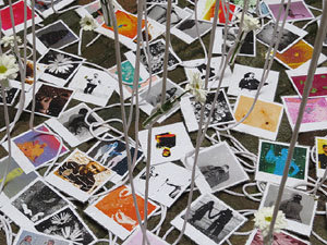 Temps de Flors 2016. Casa Sambola - Pla Dalmau, al carrer de la Força