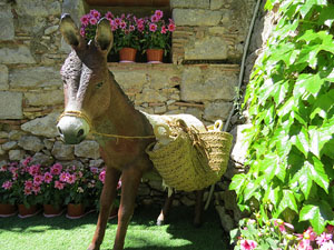 Temps de Flors 2016. Muntatges i instal&middot;lacions a la Capella de Sant Crist&ograve;fol